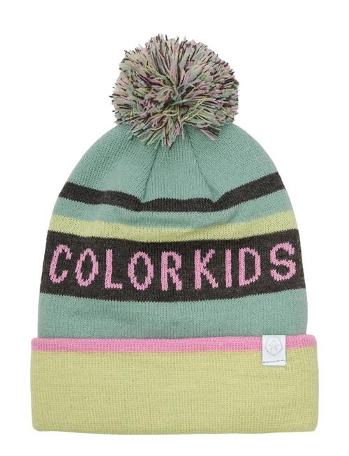 Color Kids | Hat - Logo Ck | 3-6Y