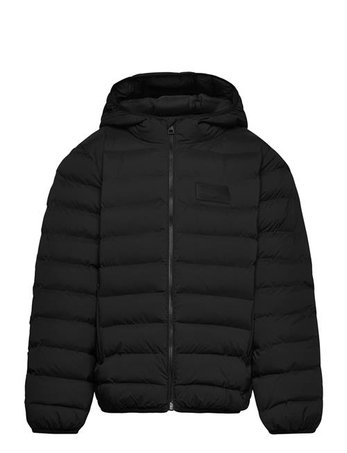 EA7 | Bomber Jacket | 164