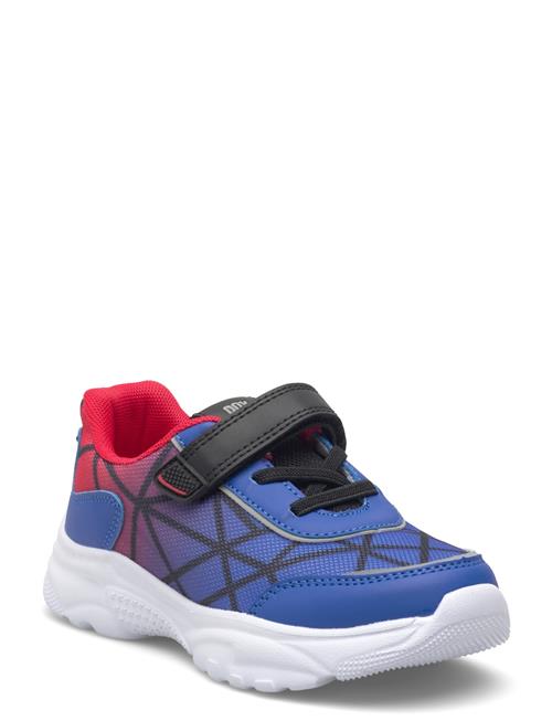 PAX | Tango Pax | 30