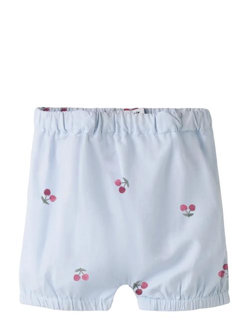 name it | Nbfferilla Bloomer | 56