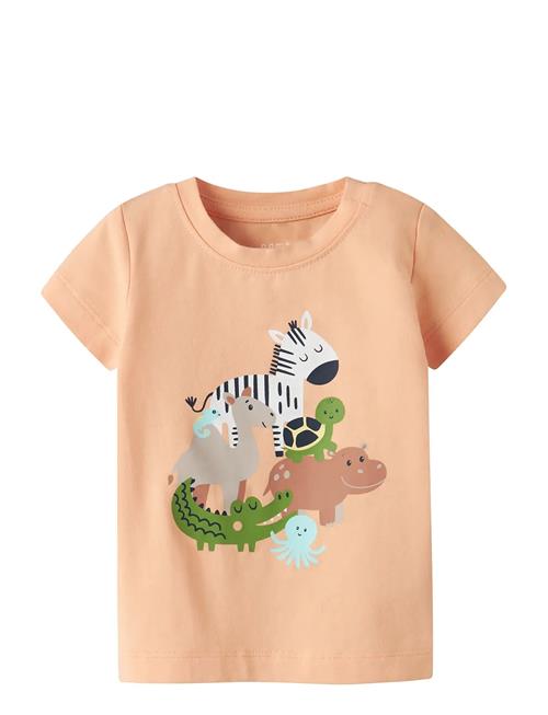 name it | Nbmfartil Ss Top Box | 86