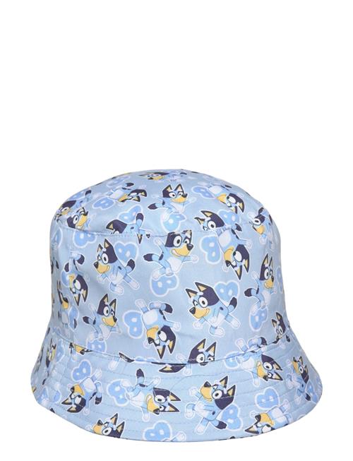 Bluey | Bob | 54