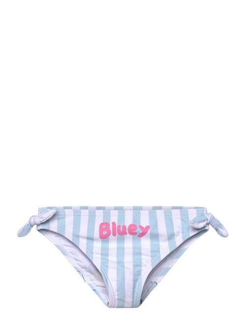Bluey | Swimwear | 98
