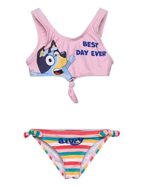 Bluey | Swimwear | 104