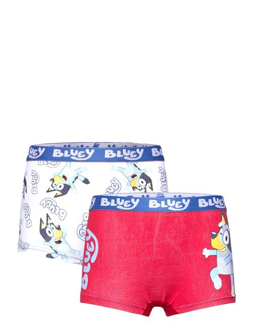 Bluey | Boxer | 98/104