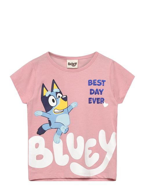 Bluey | Tshirt | 98