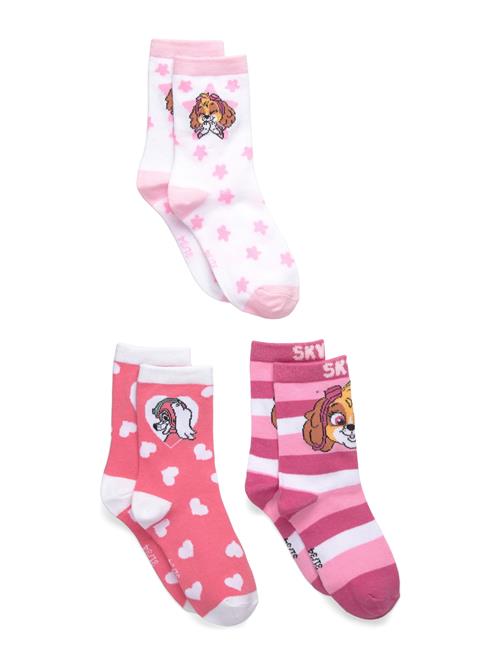Paw Patrol | Socks | 31/34