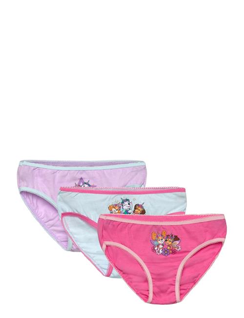 Paw Patrol | Panties | 110/116