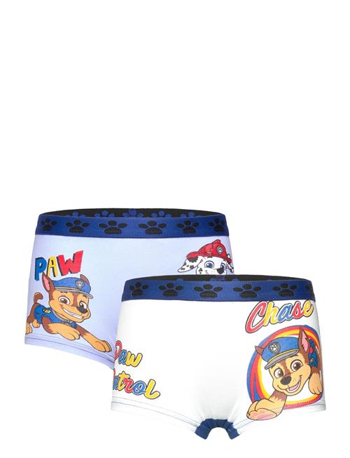 Paw Patrol | Boxer | 110/116