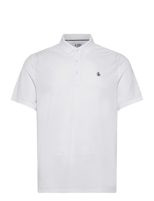 Original Penguin Golf | Drivers Polo | XXL