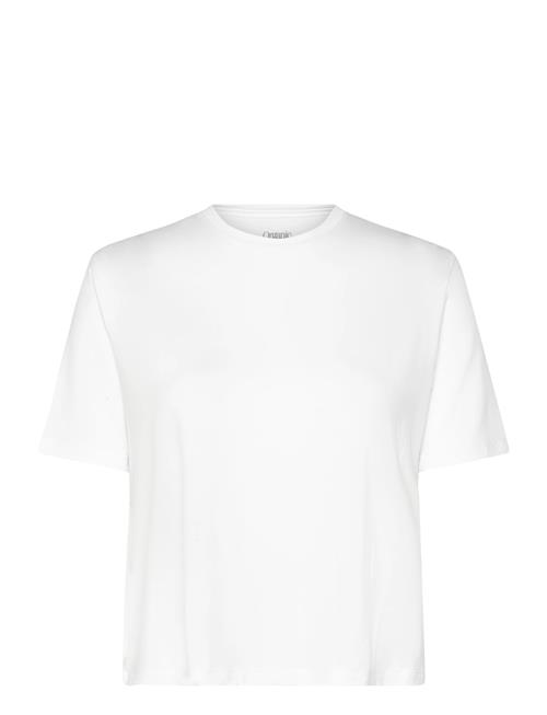 Organic Basics | Soft Touch Boxy Tee | M