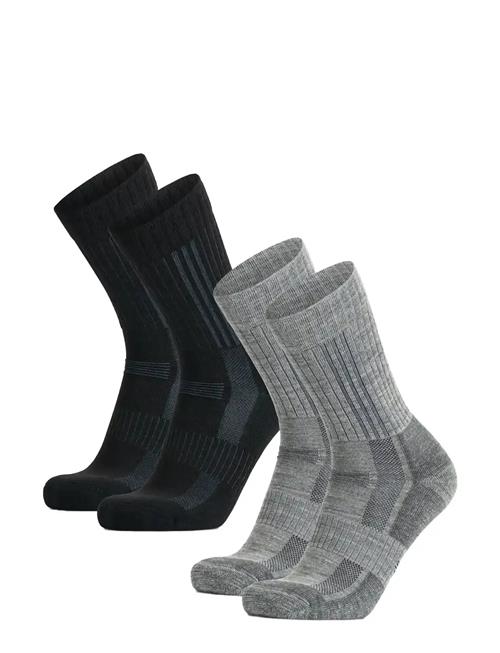 Danish Endurance | Premium Hiking Crew Socks 2-Pack | 43-47
