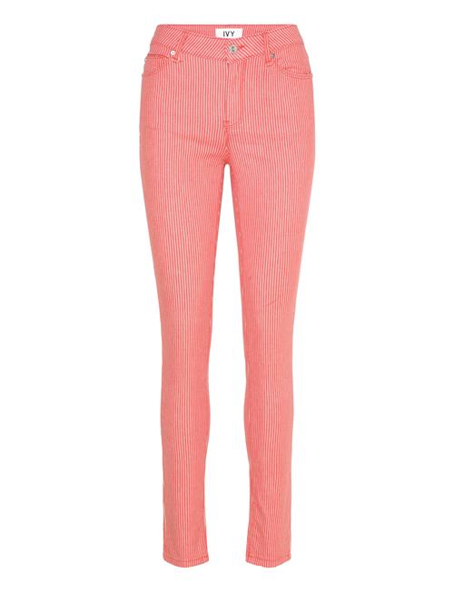 IVY Copenhagen | Ivy-Alexa Jeans Flame Red Striped | 32 x 30