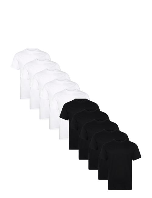 Denim Project | Dp 10 Pack T-Shirt | M