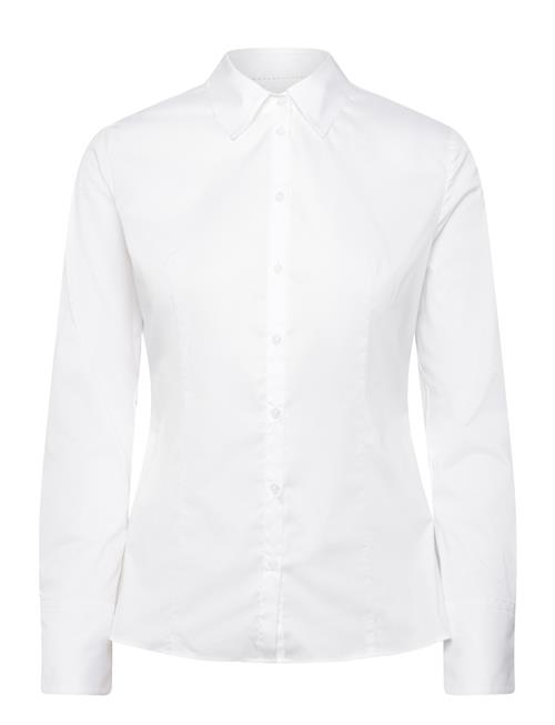 HUGO | The Fitted Shirt | 38