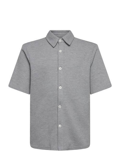 Grunt | Alfred Ss Shirt | M/12Y