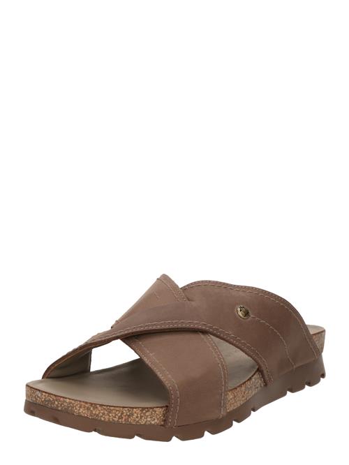 PANAMA JACK Pantoletter 'Salman'  taupe