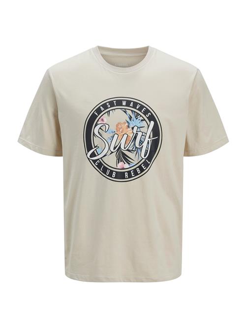 JJ Rebel Bluser & t-shirts 'JREBBASTIAN'  ecru / lyseblå / sort / hvid