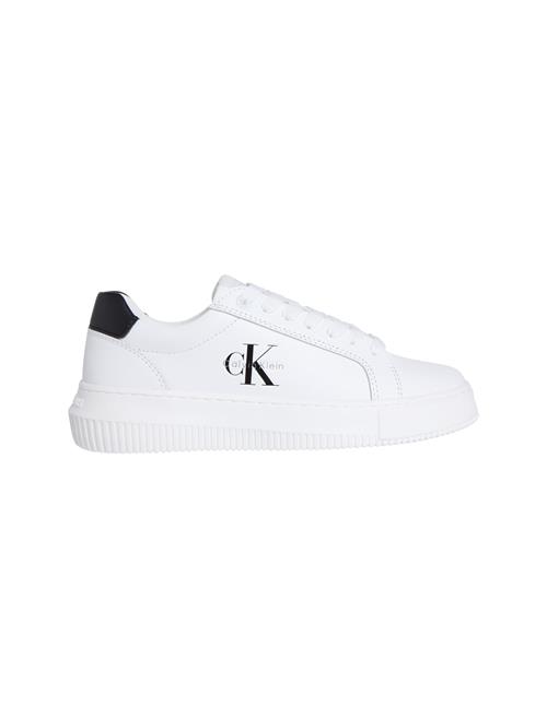 Calvin Klein Sneaker low  sort / hvid