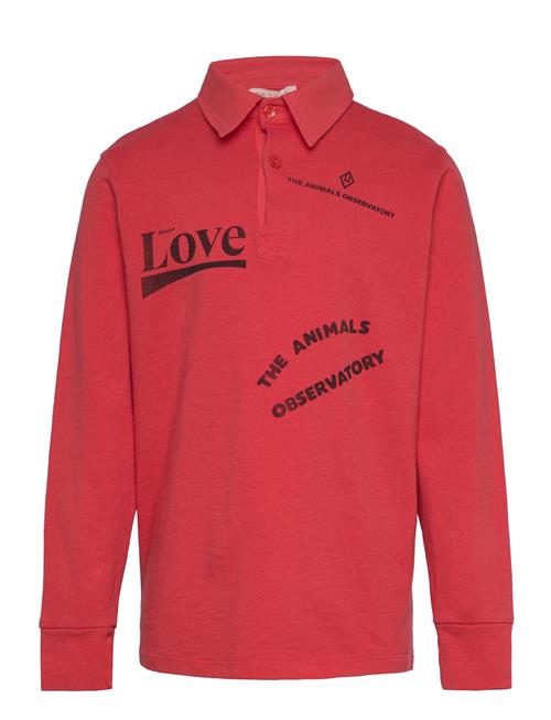 THE ANIMALS OBSERVATORY | Eel Kid Polo Shirt Red | 14 Y