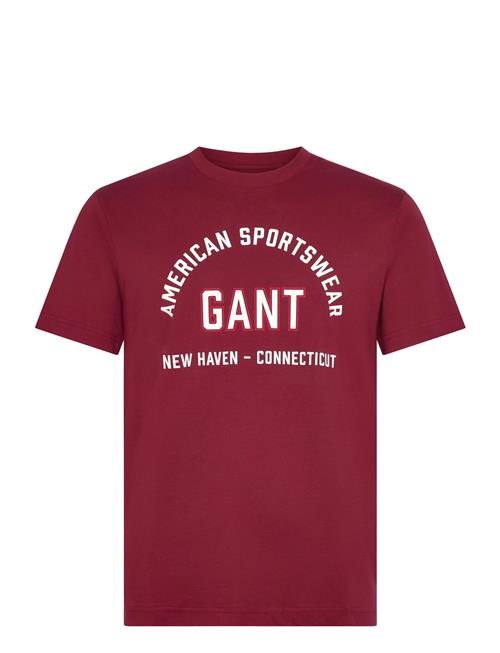 GANT | Printed Graphic Ss T-Shirt | L