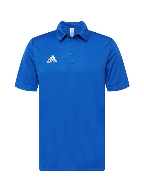 ADIDAS PERFORMANCE Funktionsskjorte 'Entrada 22'  royalblå / hvid