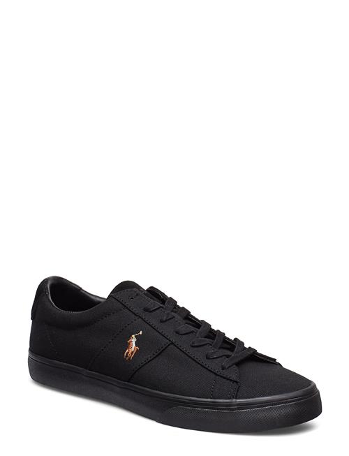 Polo Ralph Lauren | Sayer Canvas Sneaker | 41