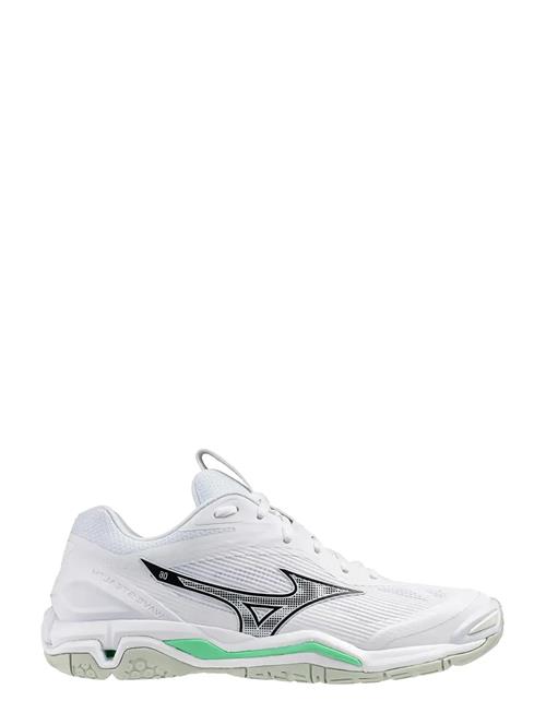 Mizuno | Wave Stealth 6(U) | 41