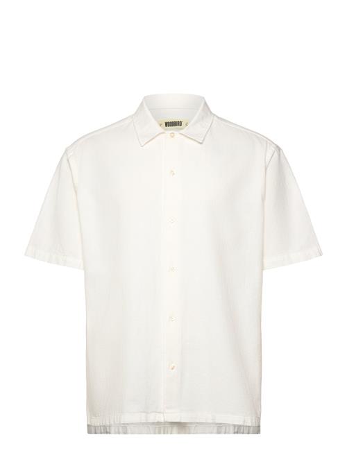 Woodbird | Wbbanks Linen Shirt | XL