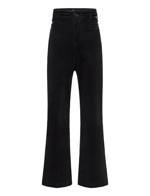 Grunt | Wise Wide Corderoy | 176