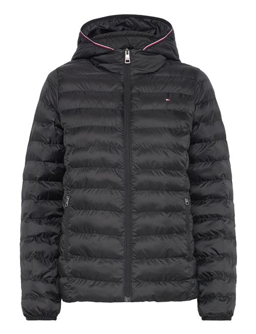 Tommy Hilfiger | Lw Padded Global Stripe Jacket | M