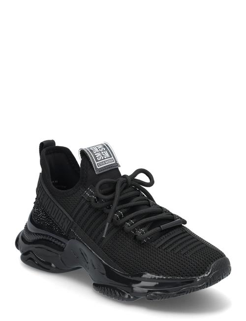 Steve Madden | Maxilla-R-E Sneaker | 37