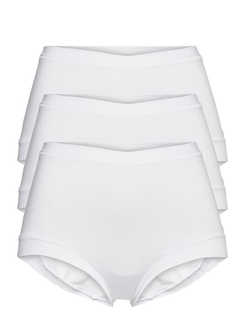 JBS of Denmark | Jbs Of Dk 3-Pack Maxi | XXL