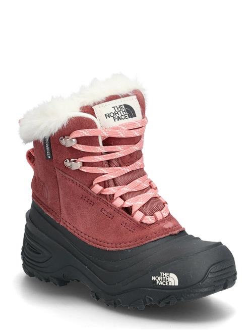 The North Face | Y Shellista V Lace Wp | 35