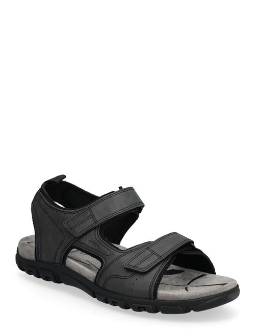 GEOX | Uomo Sandal Strada B | 42