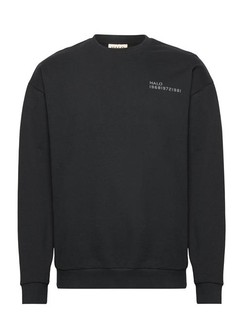 HALO | Halo Essential Crew | S