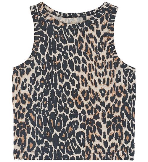 The New Top - TnTrue - Rainy Day