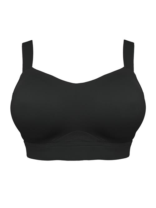 SugarShape BH 'Jive'  sort