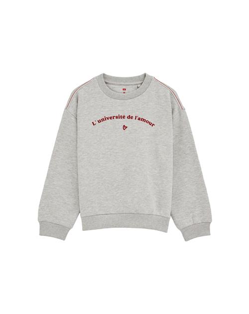 WE Fashion Sweatshirt  lysegrå