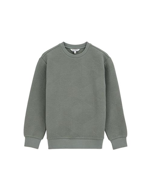 WE Fashion Sweatshirt  grøn / oliven