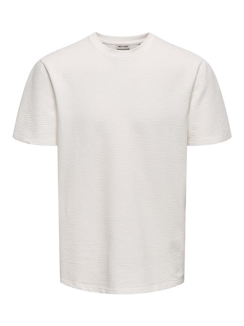 Only & Sons Bluser & t-shirts 'ONSKian'  hvid