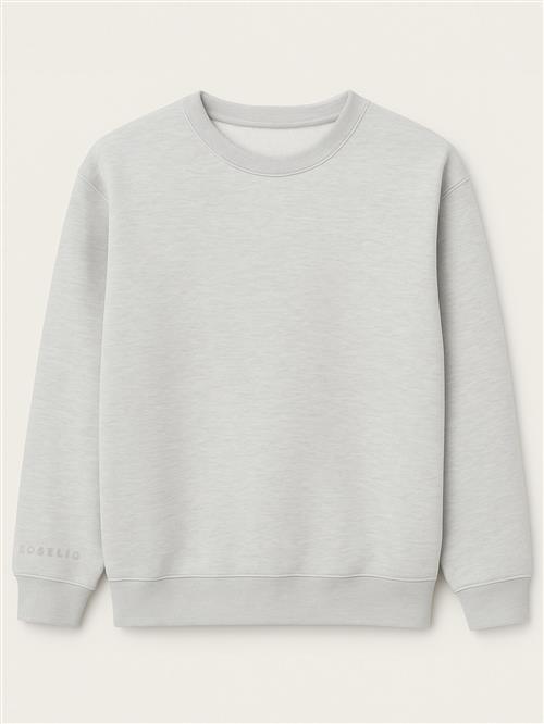 Eoselio Sweatshirt  grå-meleret