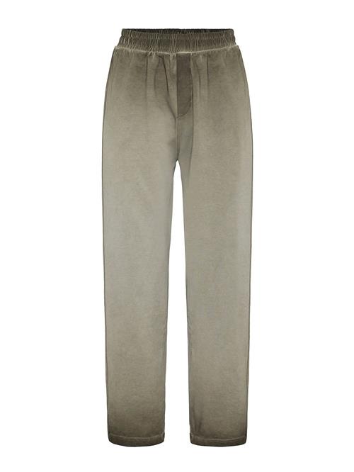 Dandalo Bukser  oliven