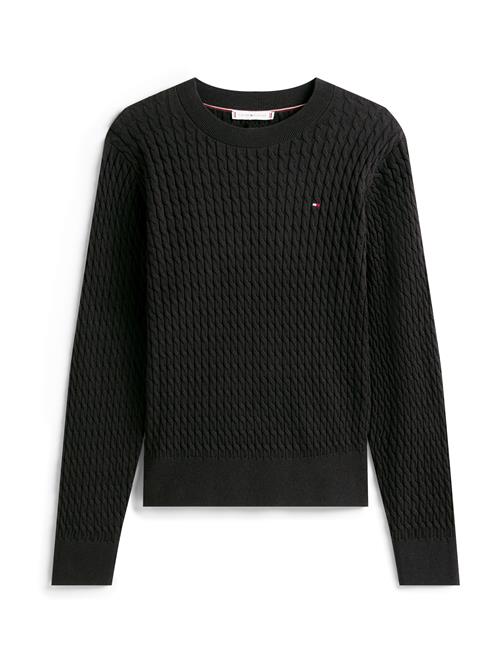 TOMMY HILFIGER Pullover  sort