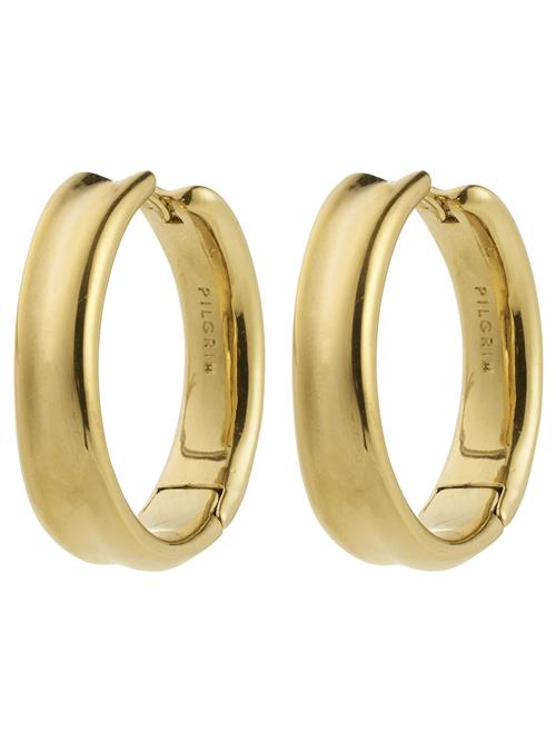 Pilgrim Øreringe ' Kayden '  guld