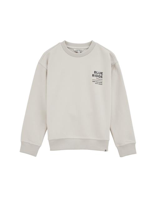 WE Fashion Sweatshirt  lysegrå / sort