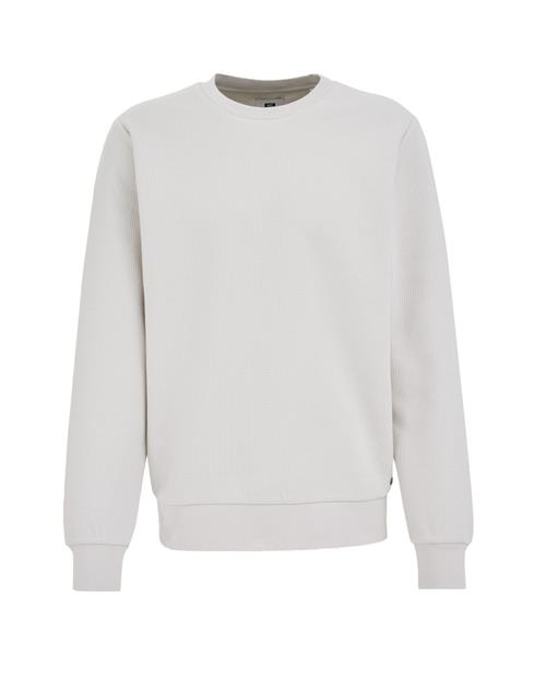 WE Fashion Sweatshirt  lysegrå
