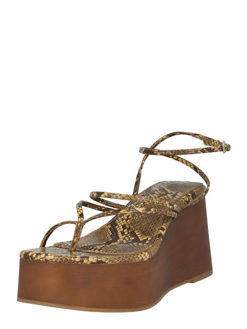 TOPSHOP Klipklappere 'HALLIE'  beige / brun / sort