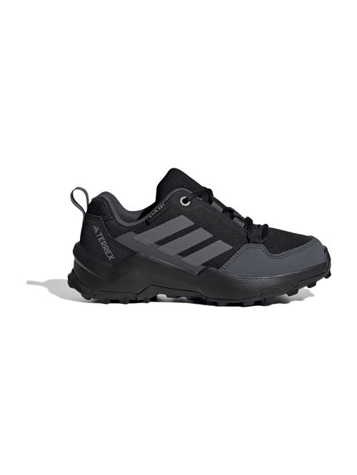 ADIDAS TERREX Lave sko 'AX4R'  antracit / sort