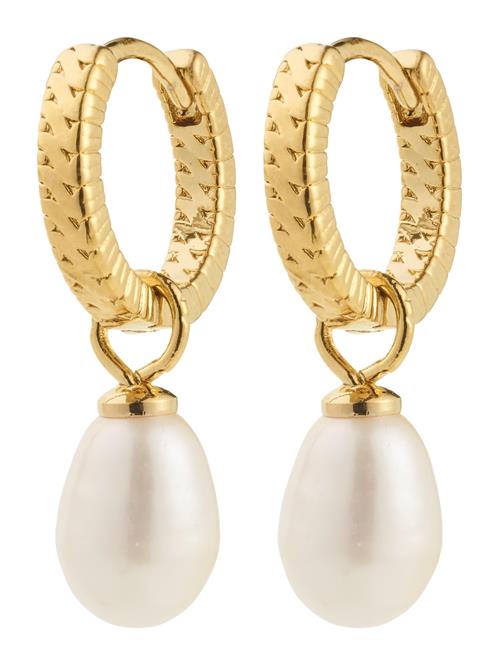 Pilgrim Øreringe 'Elliana'  guld / perlehvid